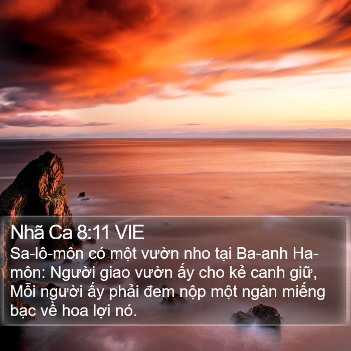 Nhã Ca 8:11 VIE Bible Study