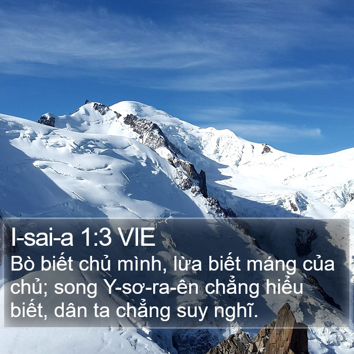 I-sai-a 1:3 VIE Bible Study