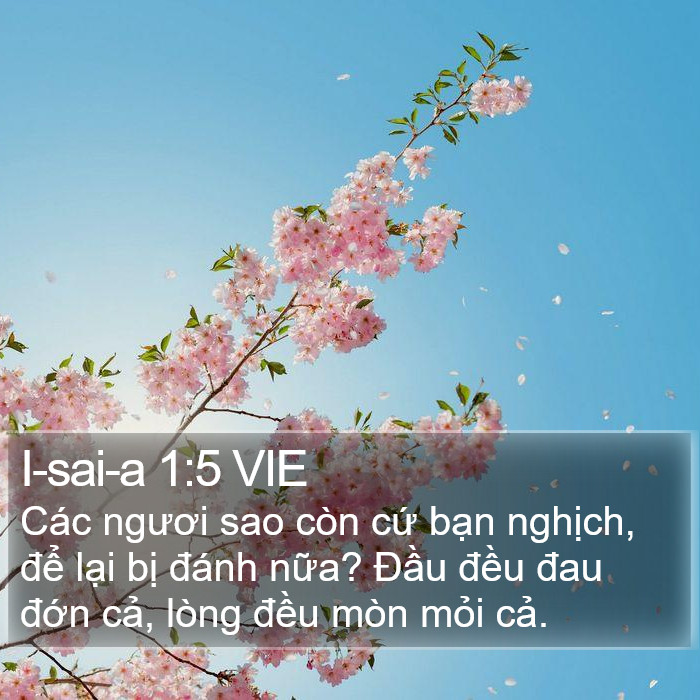 I-sai-a 1:5 VIE Bible Study