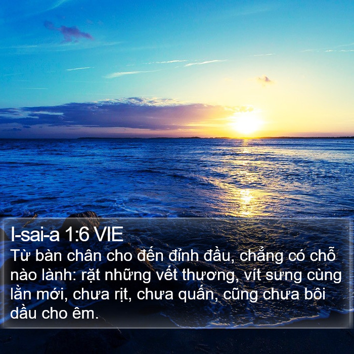 I-sai-a 1:6 VIE Bible Study