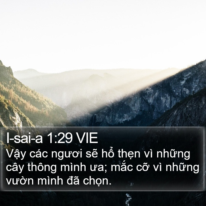 I-sai-a 1:29 VIE Bible Study