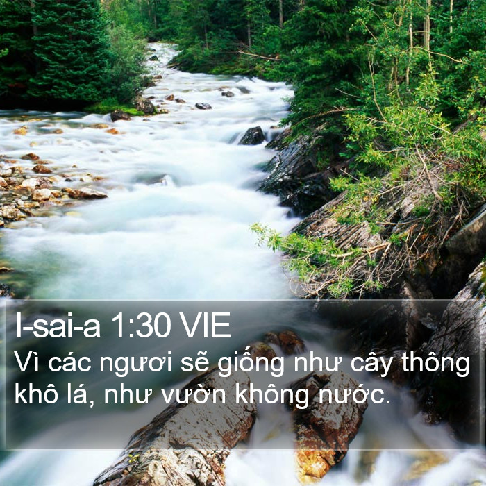 I-sai-a 1:30 VIE Bible Study