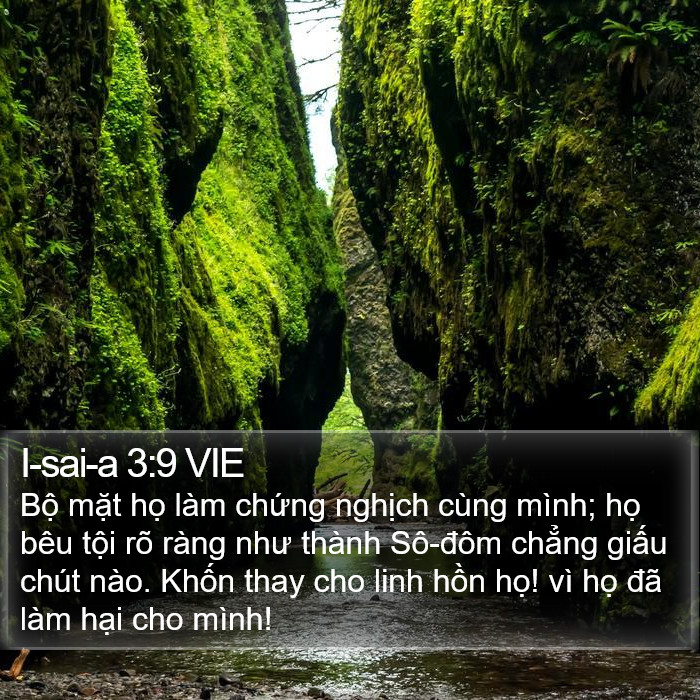 I-sai-a 3:9 VIE Bible Study