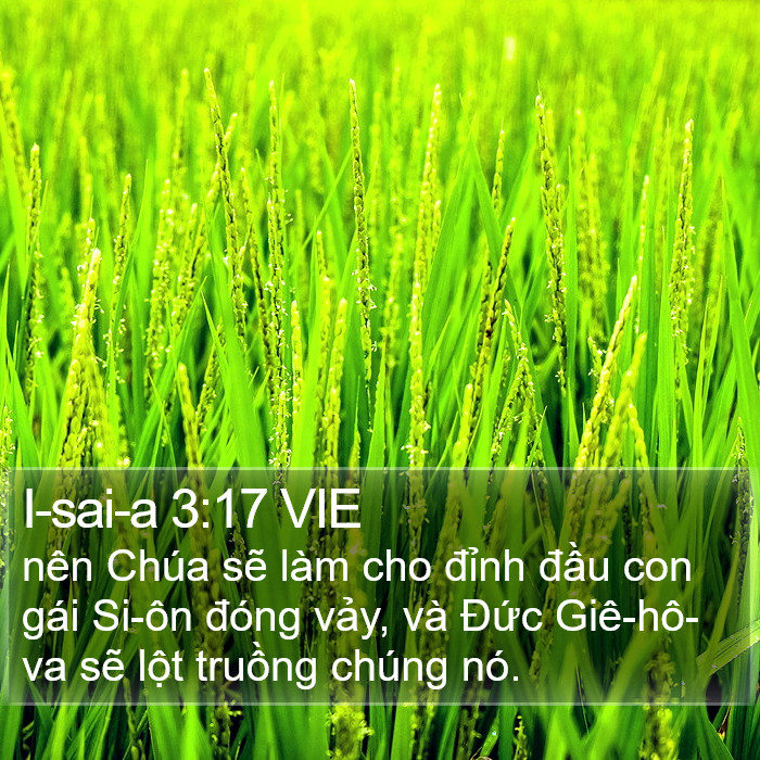 I-sai-a 3:17 VIE Bible Study