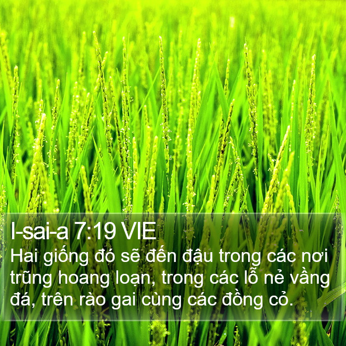 I-sai-a 7:19 VIE Bible Study