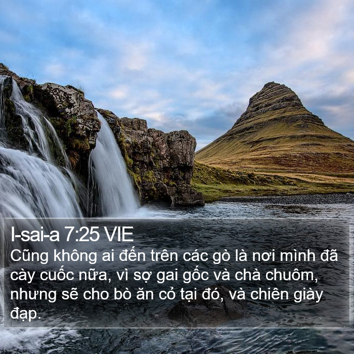 I-sai-a 7:25 VIE Bible Study