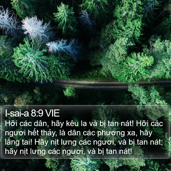 I-sai-a 8:9 VIE Bible Study