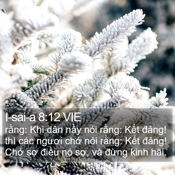 I-sai-a 8:12 VIE Bible Study