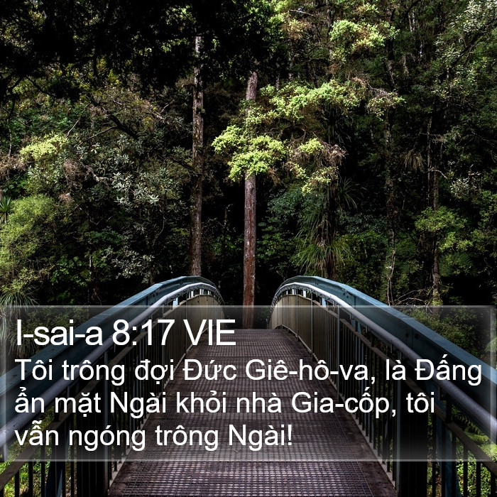 I-sai-a 8:17 VIE Bible Study