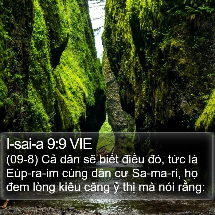 I-sai-a 9:9 VIE Bible Study