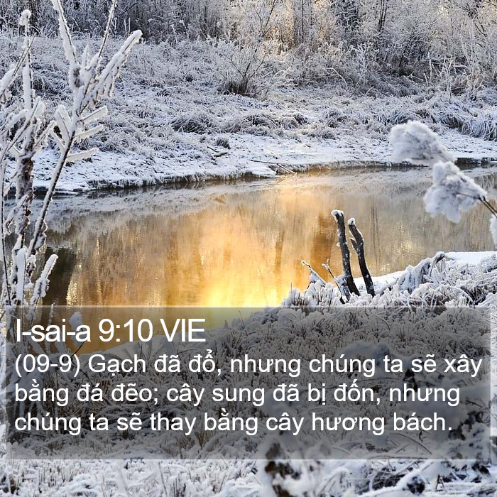 I-sai-a 9:10 VIE Bible Study