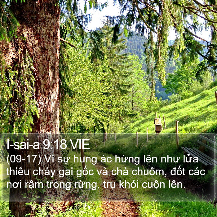 I-sai-a 9:18 VIE Bible Study