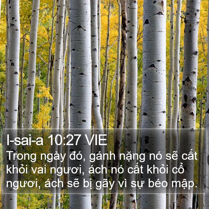 I-sai-a 10:27 VIE Bible Study