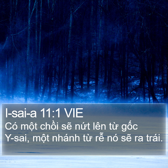 I-sai-a 11:1 VIE Bible Study