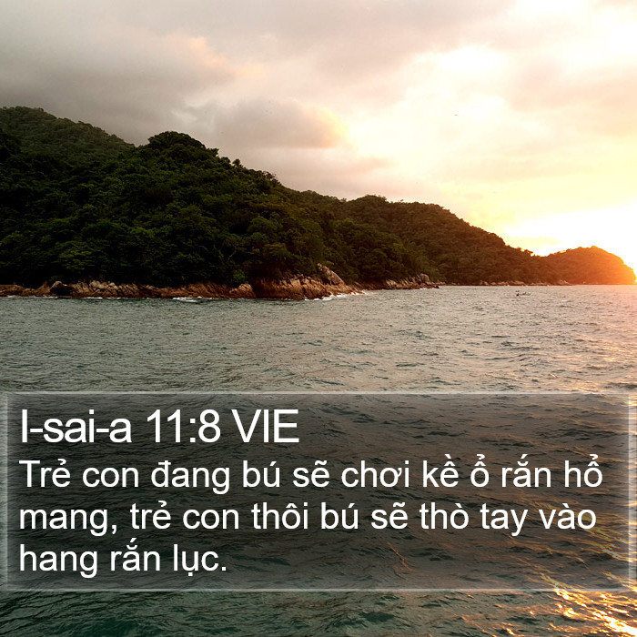 I-sai-a 11:8 VIE Bible Study