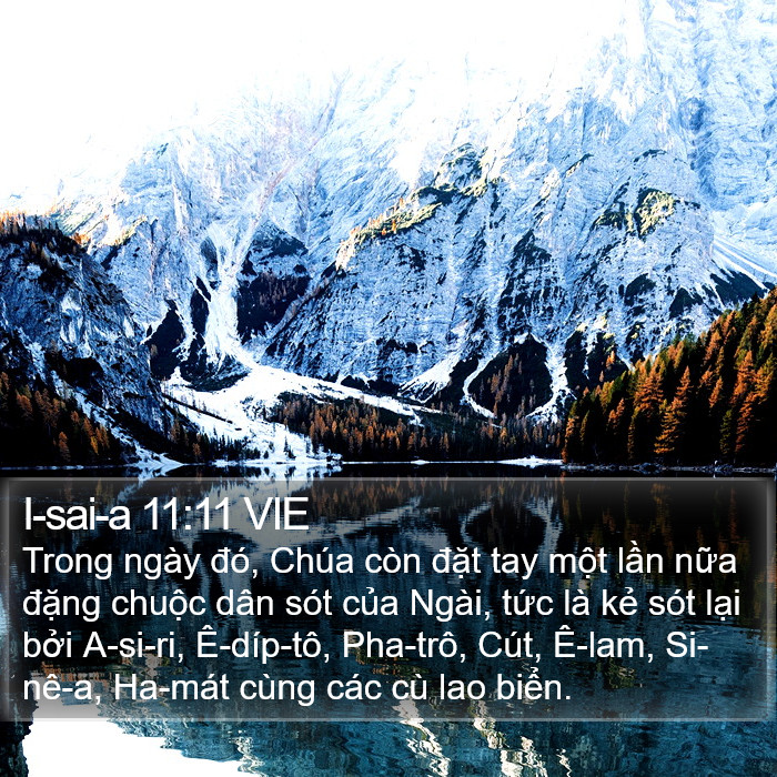 I-sai-a 11:11 VIE Bible Study