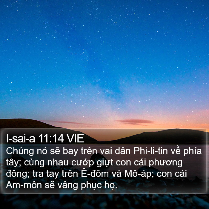 I-sai-a 11:14 VIE Bible Study