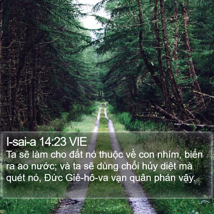 I-sai-a 14:23 VIE Bible Study