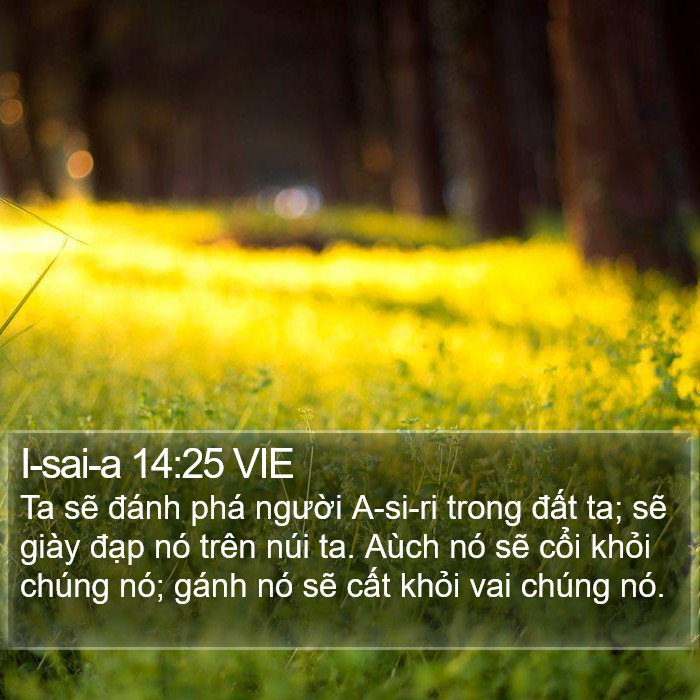 I-sai-a 14:25 VIE Bible Study