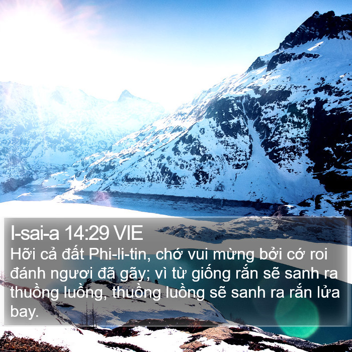 I-sai-a 14:29 VIE Bible Study