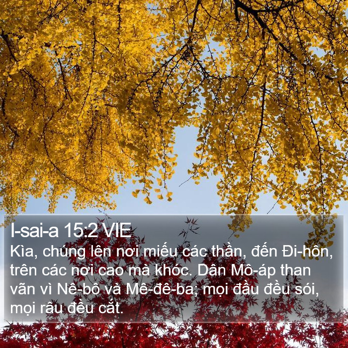 I-sai-a 15:2 VIE Bible Study