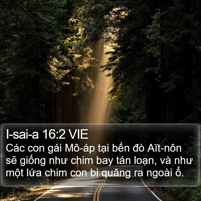 I-sai-a 16:2 VIE Bible Study