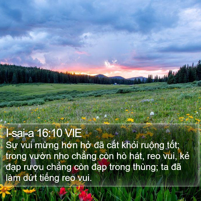 I-sai-a 16:10 VIE Bible Study