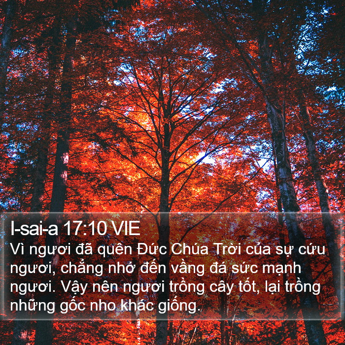 I-sai-a 17:10 VIE Bible Study
