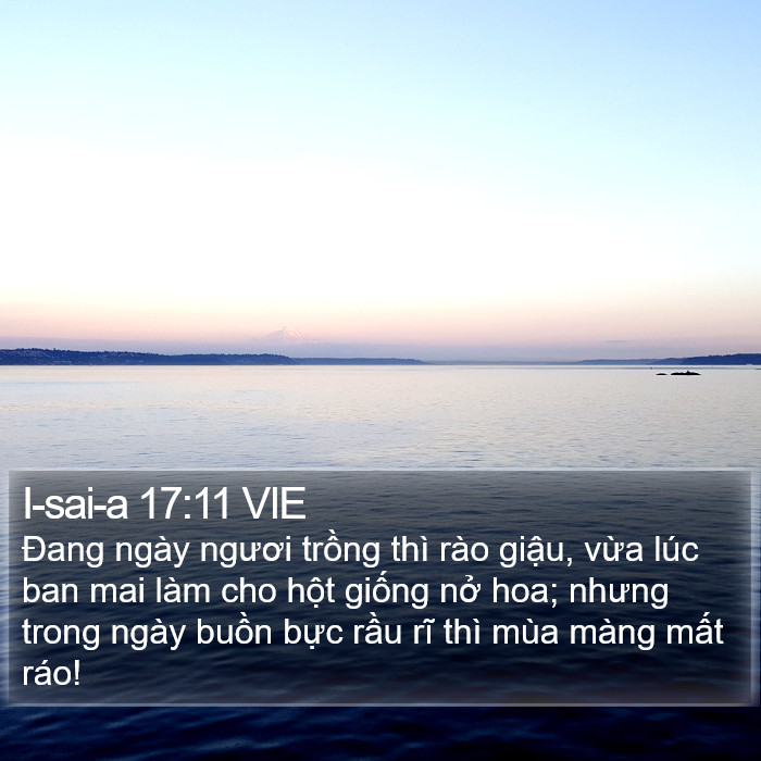 I-sai-a 17:11 VIE Bible Study