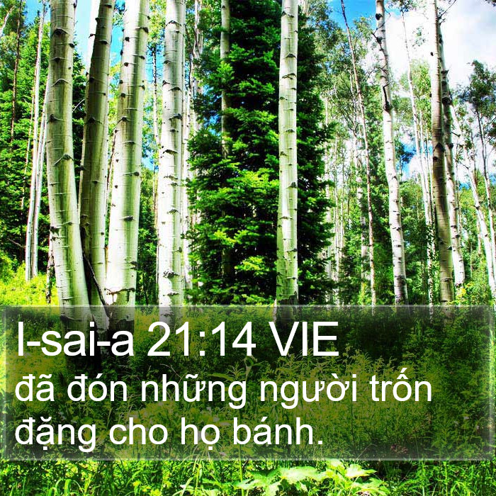 I-sai-a 21:14 VIE Bible Study