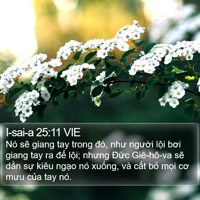 I-sai-a 25:11 VIE Bible Study