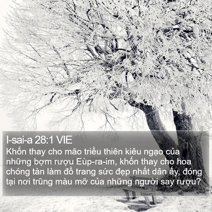 I-sai-a 28:1 VIE Bible Study