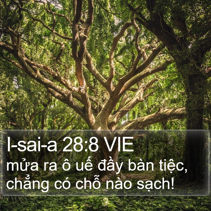 I-sai-a 28:8 VIE Bible Study