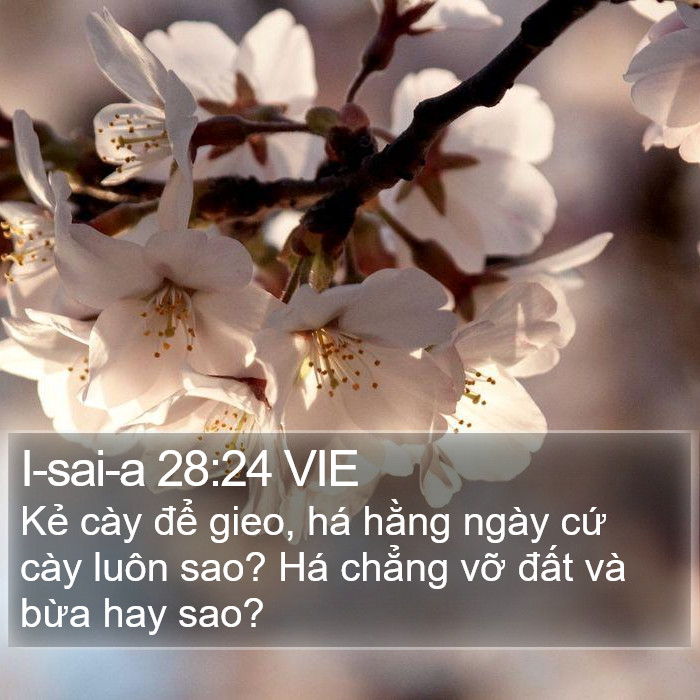 I-sai-a 28:24 VIE Bible Study