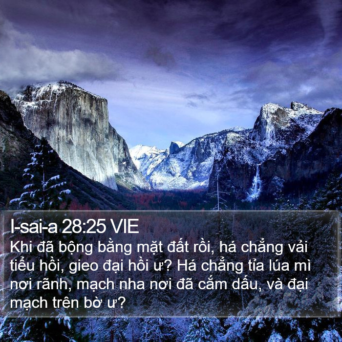 I-sai-a 28:25 VIE Bible Study