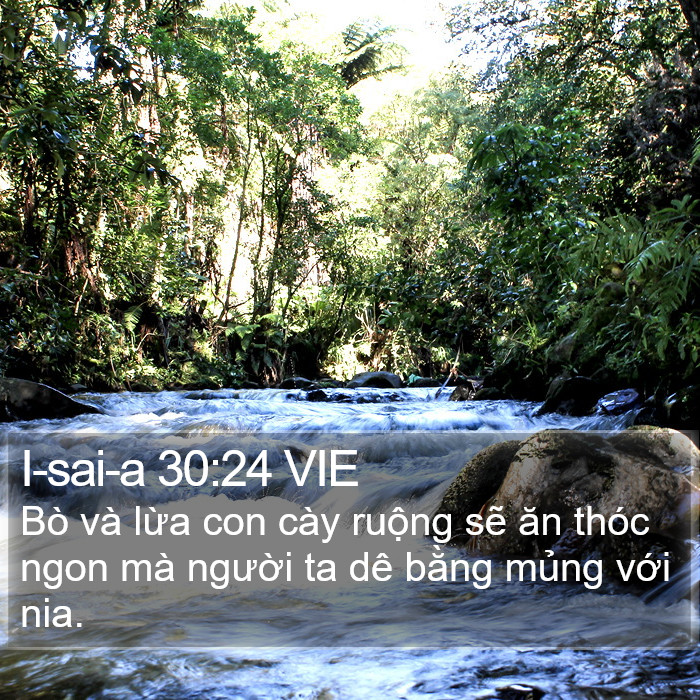 I-sai-a 30:24 VIE Bible Study