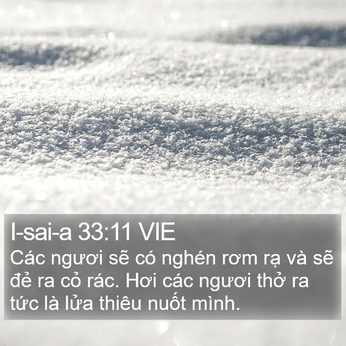 I-sai-a 33:11 VIE Bible Study