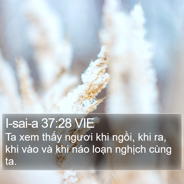 I-sai-a 37:28 VIE Bible Study
