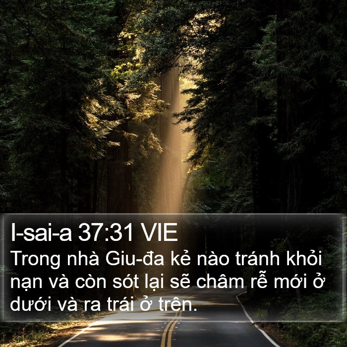 I-sai-a 37:31 VIE Bible Study
