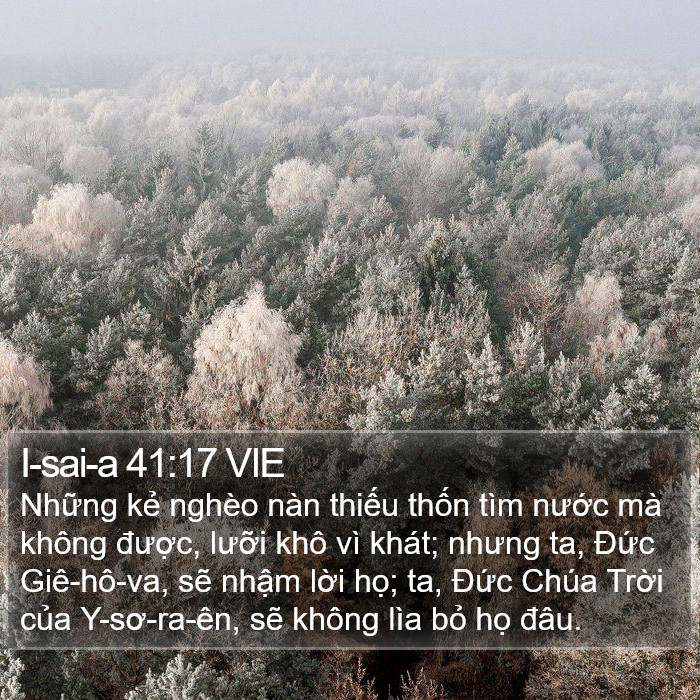 I-sai-a 41:17 VIE Bible Study