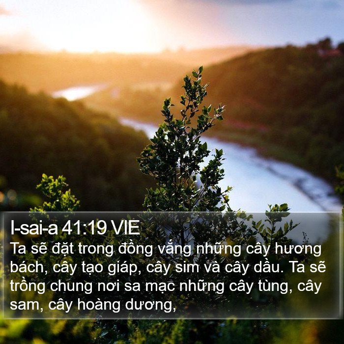 I-sai-a 41:19 VIE Bible Study