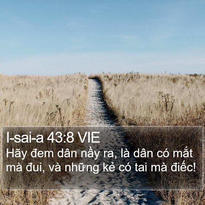 I-sai-a 43:8 VIE Bible Study