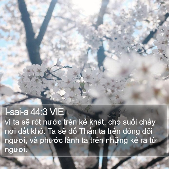 I-sai-a 44:3 VIE Bible Study