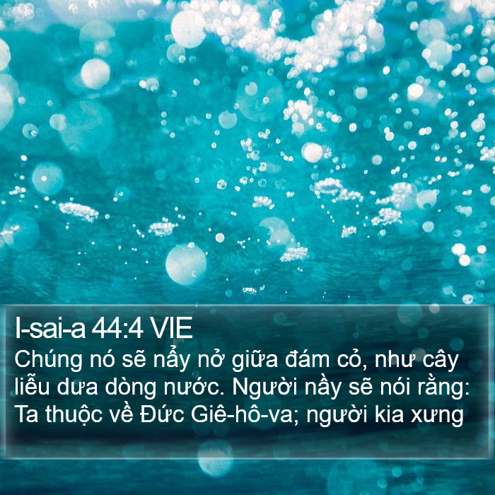 I-sai-a 44:4 VIE Bible Study