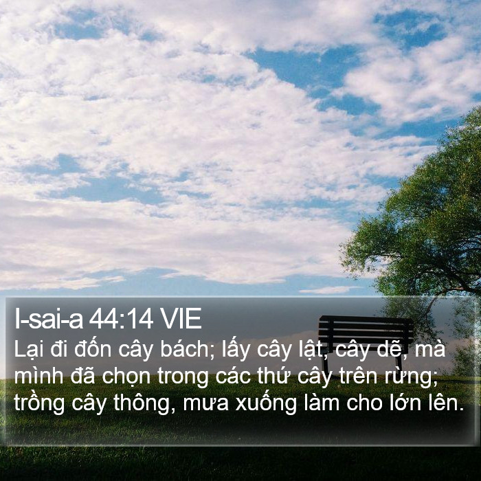 I-sai-a 44:14 VIE Bible Study