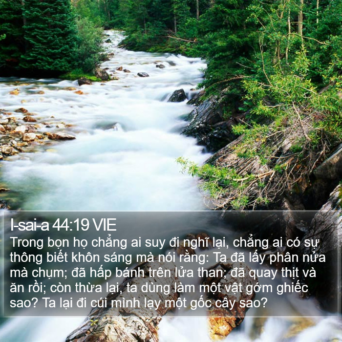 I-sai-a 44:19 VIE Bible Study