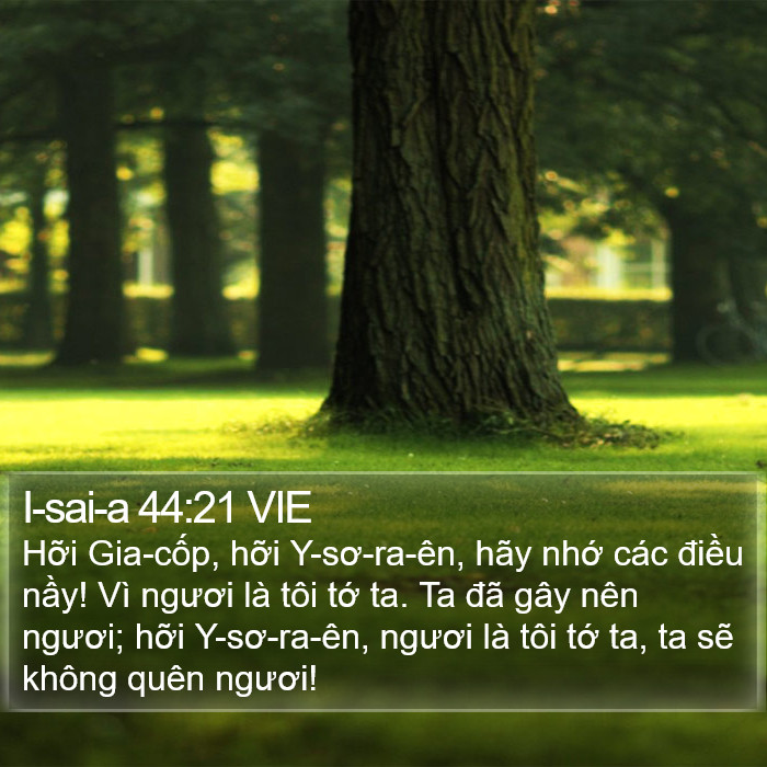 I-sai-a 44:21 VIE Bible Study