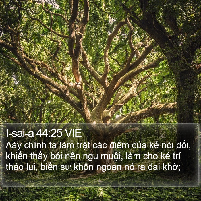 I-sai-a 44:25 VIE Bible Study