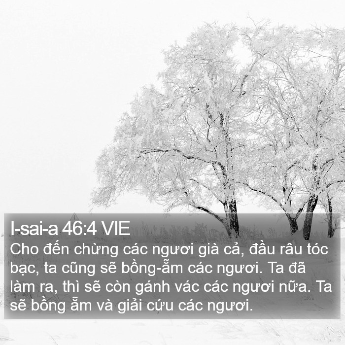 I-sai-a 46:4 VIE Bible Study