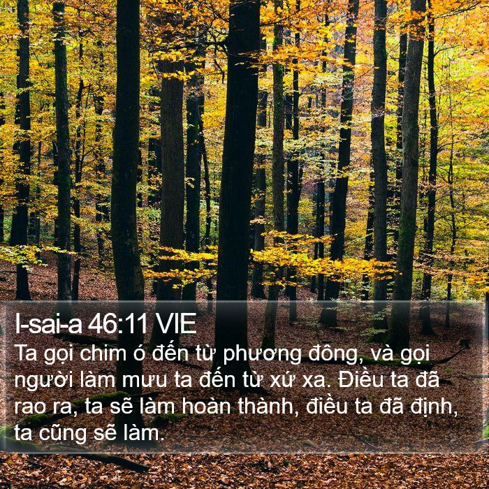I-sai-a 46:11 VIE Bible Study